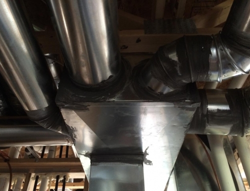 Highlight of the Month